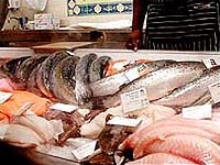 Bà bầu ăn nhiều cá béo dễ bị đẻ non