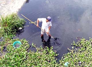 Quảng Ngãi: Nguy cơ xảy ra đợt dịch sốt xuất huyết mới