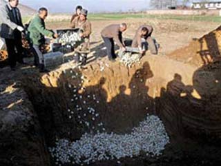 Ba tỉnh Trung Quốc có trứng vịt lòng đỏ tươi