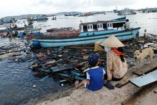 Vì sao bão xuất hiện liên tiếp?
