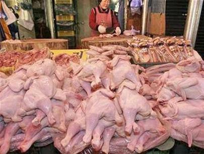 Dòng virus cúm gia cầm ở Hàn Quốc khác dòng ở Đông Nam Á