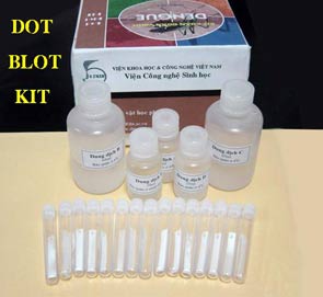 Chế tạo thành công bộ KIT chẩn đoán nhanh sốt dengue