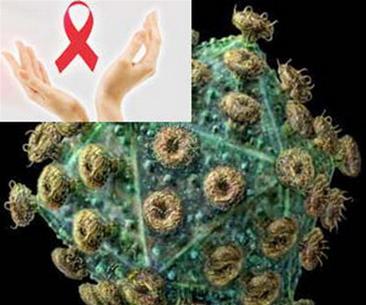 Thuốc chống HIV mới từ tảo
