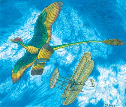 Khủng long cổ đại bay bằng 4 cánh