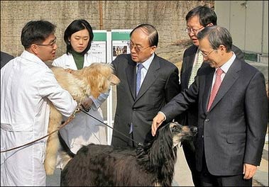 Nhân bản thành công chó xù