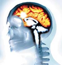 Vùng trong não gây nghiện thuốc lá