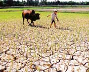 El-Nino sẽ diễn ra trầm trọng hơn