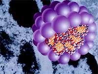 Ung thư cổ tử cung - bệnh do nhiễm virus