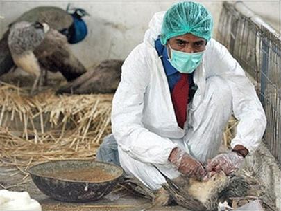 Pakistan đóng cửa vườn thú vì cúm gia cầm