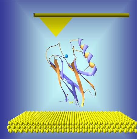 Phát hiện các kháng nguyên ung thư bằng các hốc nano