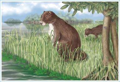 Chuột nặng gần...700kg