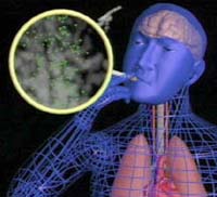 Nghiên cứu chứng minh vai trò của nicotine trong việc hút thuốc lá