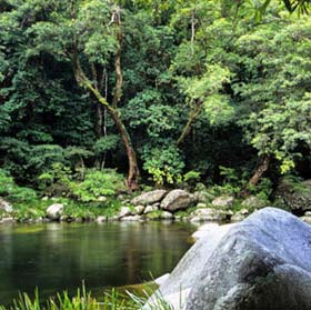 Nền kinh tế đa dạng sinh học