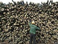 Úc thành lập quỹ bảo vệ rừng thế giới