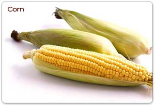 Cồn nhiên liệu hại chẳng kém xăng