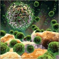 Phát hiện peptid trong máu ức chế virus HIV/AIDS