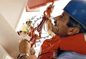 ILO: 2,2 triệu người chết mỗi năm do tai nạn lao động và bệnh nghề nghiệp