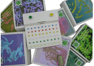 Phát hiện nhanh vi khuẩn gây ngộ độc thực phẩm