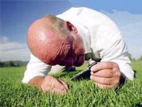 Người cầu toàn dễ bị stress