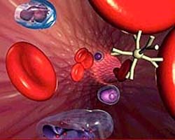 Tối ưu hoá tiến độ nghiên cứu các hợp chất đánh dấu sinh học trong việc phát hiện sớm căn bệnh ung thư Huyết thanh.