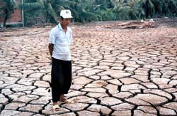 Hạn hán trên diện rộng do hiện tượng El Nino