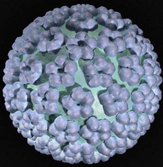 Vaccine ngừa ung thư cổ tử cung cho hiệu quả gần 100%