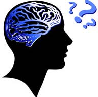 IQ cao không chỉ do di truyền