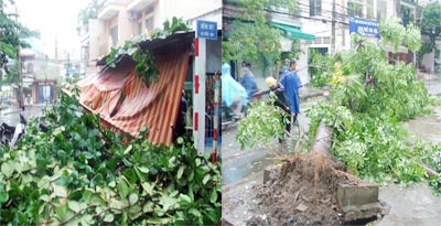 TP.HCM: Mưa lốc, đổ cây, ngập đường, cháy thiết bị điện