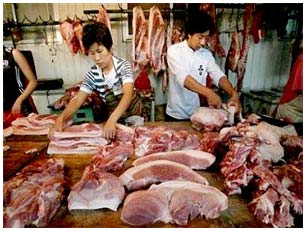 Sản xuất thịt nhân tạo từ... tế bào gốc