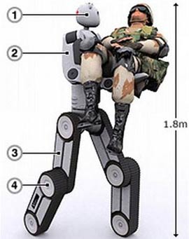 Gấu robot tải thương