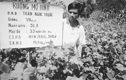 Hoạt động khoa học và công nghệ góp phần xây dựng nông thôn "bốn có"