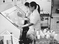 Lạng Sơn áp dụng nhiều tiến bộ khoa học - kỹ thuật vào sản xuất