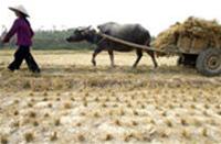 "Thế giới sẽ bốc hỏa"