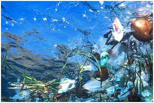 Hơn 6 triệu tấn rác thải bị tống xuống biển mỗi năm