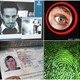 Sinh trắc học: “Mã vạch” của con người