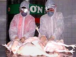 Thêm một bệnh nhân nghi nhiễm cúm A/H5N1