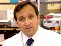 Virus gây béo phì