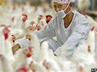 WHO: Bệnh truyền nhiễm lây nhanh trên toàn cầu