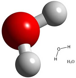 Nước cho sự sống cần hay không?