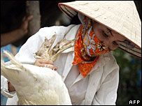 Thiết bị phát hiện virus cúm gia cầm H5N1