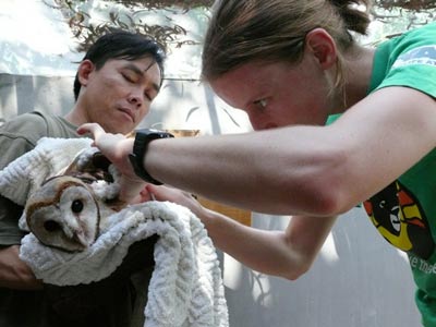 Sau gần một tháng hoạt động, cứu hộ 270 con thú