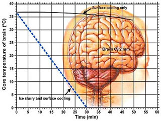 Báo cáo khoa học: Cứ có ảnh là người đọc... tin!
