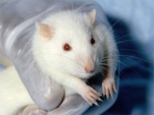 Khám phá mới về cai nghiện ma túy