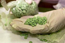 Thuốc Ecstasy làm hủy tiêu diệt tế bào não