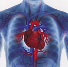 Tỉ lệ người chết vì bệnh tim đang gia tăng trong giới trẻ