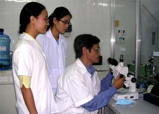 Nghiên cứu tế bào gốc: Còn xa để "thay quyền tạo hóa"!