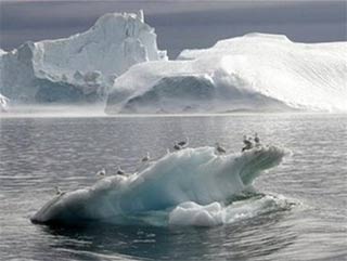 Khi băng ở Greenland tan...