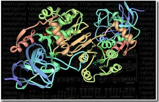 Khám phá “giai điệu” của các phân tử DNA