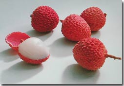 Giải pháp xử lý phế phẩm sau chế biến tại Công ty chế biến rau quả Bắc Giang.
