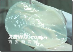 Trung Quốc nuôi cấy thành công da nhân tạo